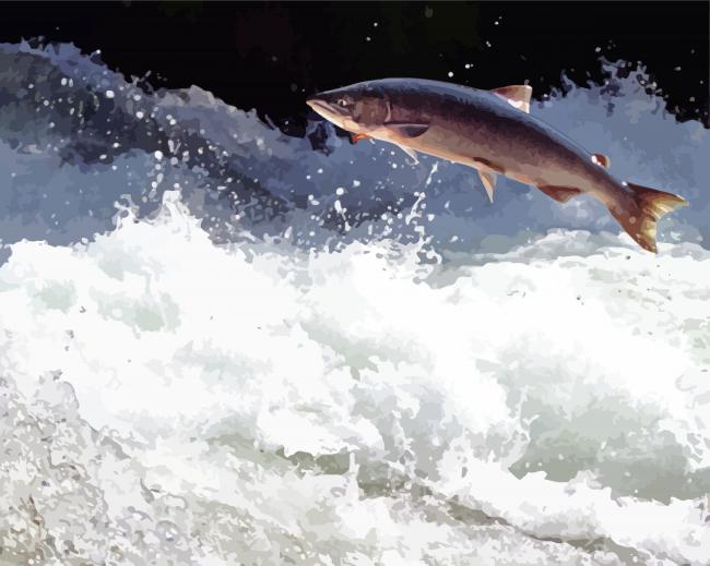 Aesthetic Trout Stream paint by numbers