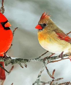 Adorable Cardinals Birds In Winter paint by numbers