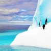 Antarctica Iceberg Penguins paint by number