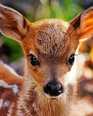 Baby Deer Face paint by numbers