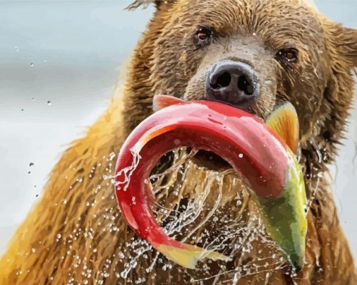 Bear Catching Salmon Fish paint by numbers
