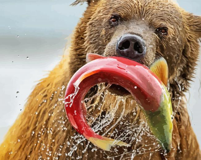 Bear Catching Salmon Fish paint by numbers