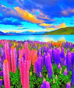 Beautiful Lupines Field Nature paint by numbers