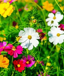 Adorable Wild Flowers Meadow paint by numbers