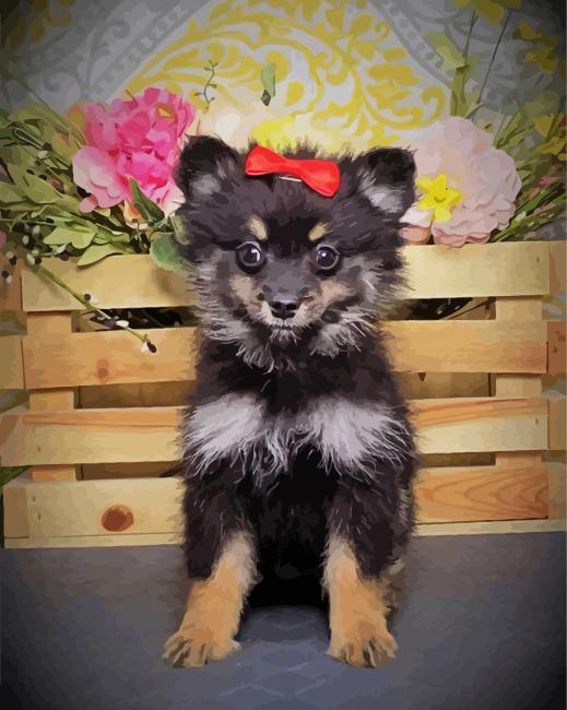 Black Maltipoo Puppy paint by numbers