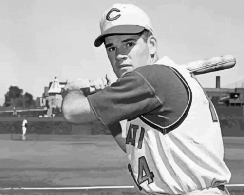 Black and White Pete rose paint by number