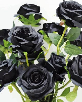 Aesthetic Black Floral Roses paint by numbers