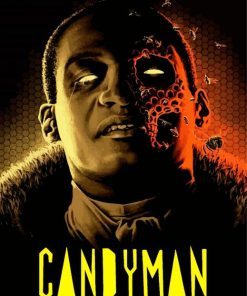 Candyman Horror Movie paint by numbers