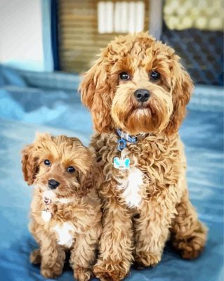 Adorable Cavoodle Dogs paint by numbers