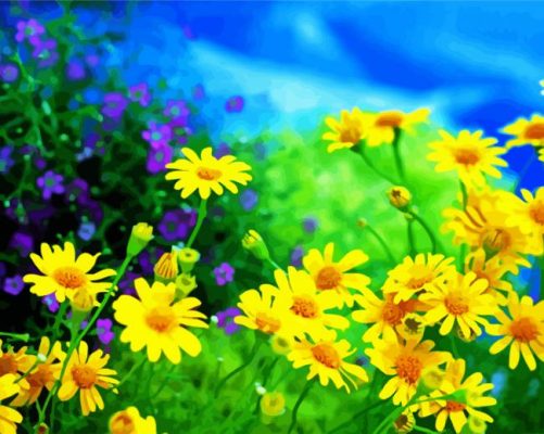 Chamomiles Yellow Flowers paint by numbers