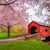 Carroll Creek Covered Bridge paint by numbers