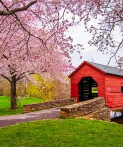 Carroll Creek Covered Bridge paint by numbers