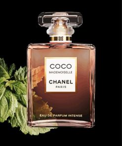 Coco Mademoiselle Chanel Perfume paint by numbers