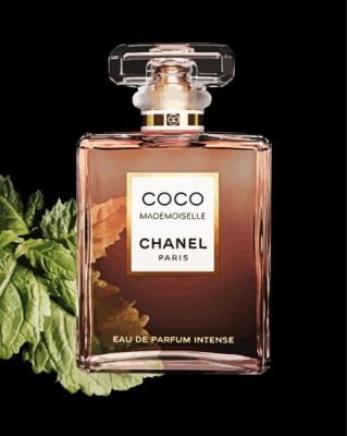 Coco Mademoiselle Chanel Perfume paint by numbers