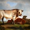 Cows Animals Art paint by numbers