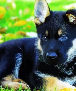 Cute German Shepherds Puppy paint by numbers