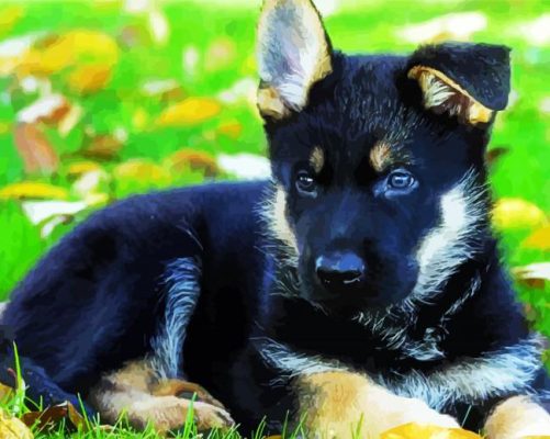 Cute German Shepherds Puppy paint by numbers