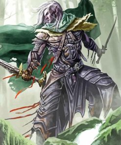 Drizzt Do'Urden Character paint by numbers