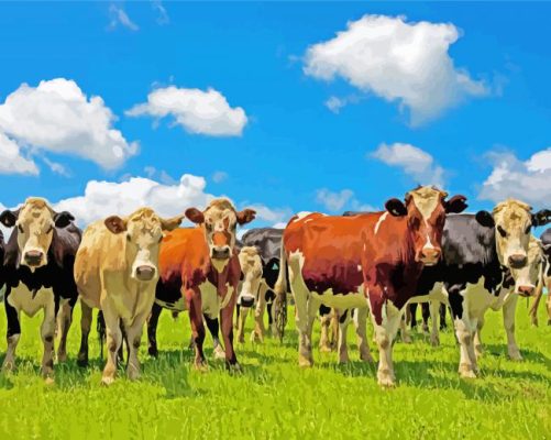 Flock Of Real Cows Animals paint by numbers