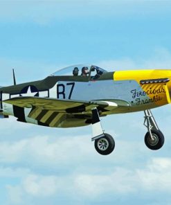 Flying P52 Mustang Airplane paint by numbers