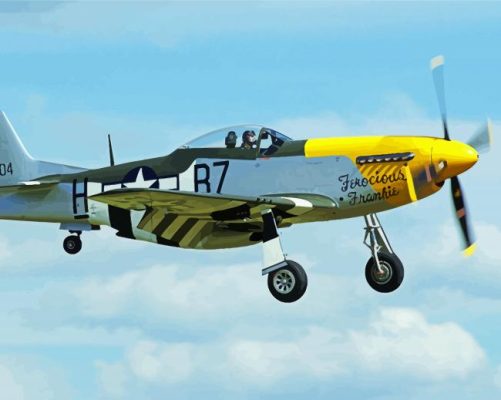 Flying P52 Mustang Airplane paint by numbers