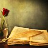 Rose And Vintage Book paint by numbers