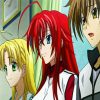 Japanese High School DxD Characters paint by numbers