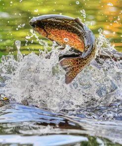 Jumping Trout Stream paint by numbers