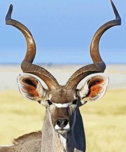 Adorable Kudu Animal paint by numbers