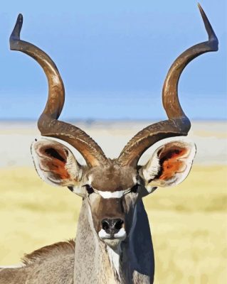 Adorable Kudu Animal paint by numbers