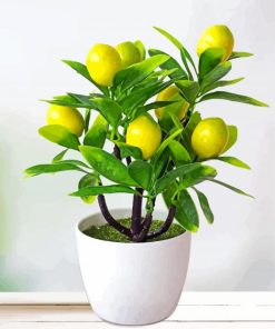 Lemon Tree Plant paint by numbers