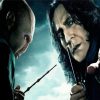 Voldemort And Professor Severus paint by numbers