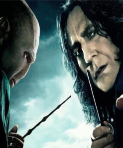 Voldemort And Professor Severus paint by numbers