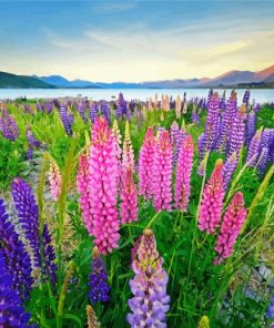 Lupines Field Nature Landscape paint by numbers