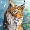 Lynx Cat Animal paint by numbers