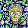 Magical Jungle Skull paint by numbers