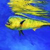 Mahi Mahi Fish Underwater paint by numbers