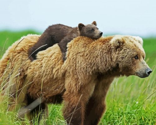 Mama Bear And His Baby paint by numbers