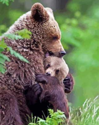 Mama Bear Hugging His Baby paint by numbers