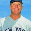 Mickey mantle paint by numbers