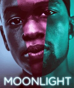 Moonlight Movie Poster paint by numbers