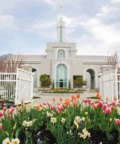 Mount Timpanogos Utah Temple paint by numbers