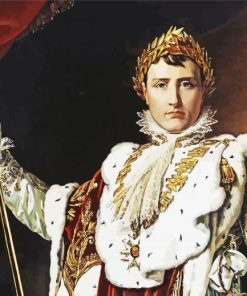 The King Napoleon paint by numbers