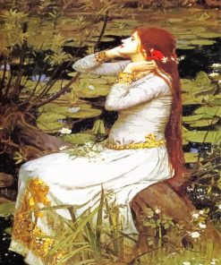 Ophelia Art paint by numbers