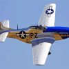 P52 Mustang airplane paint by numbers