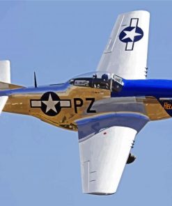 P52 Mustang airplane paint by numbers