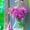 Phlox Flowers In Glass Vase paint by numbers