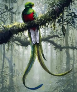 Long Tailed Quetzal Art paint by numbers