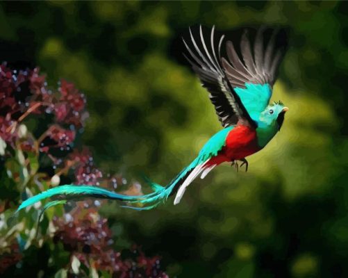 Resplendent Quetzal Flying paint by numbers