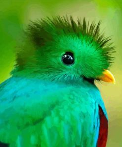 Resplendent Quetzal Head paint by numbers